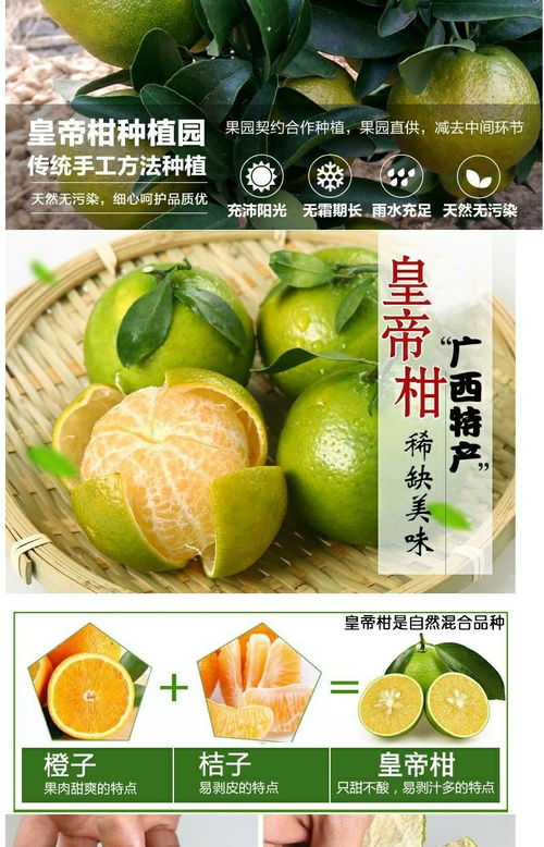 廣西皇帝柑 應季鮮果，薄皮多汁，整箱批發包郵到家